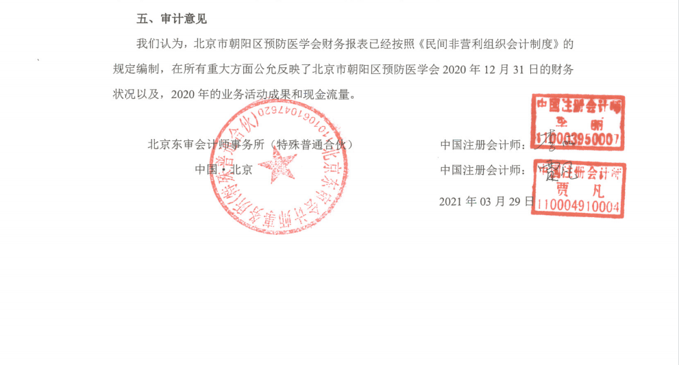 20年财务审计