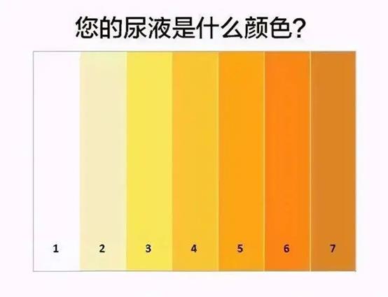 60bafdaf0aa6267189acf83fd5bc4f6